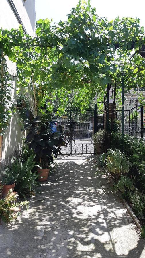 טרני Casa Sofia - Appartamento Con Parcheggio Riservato מראה חיצוני תמונה